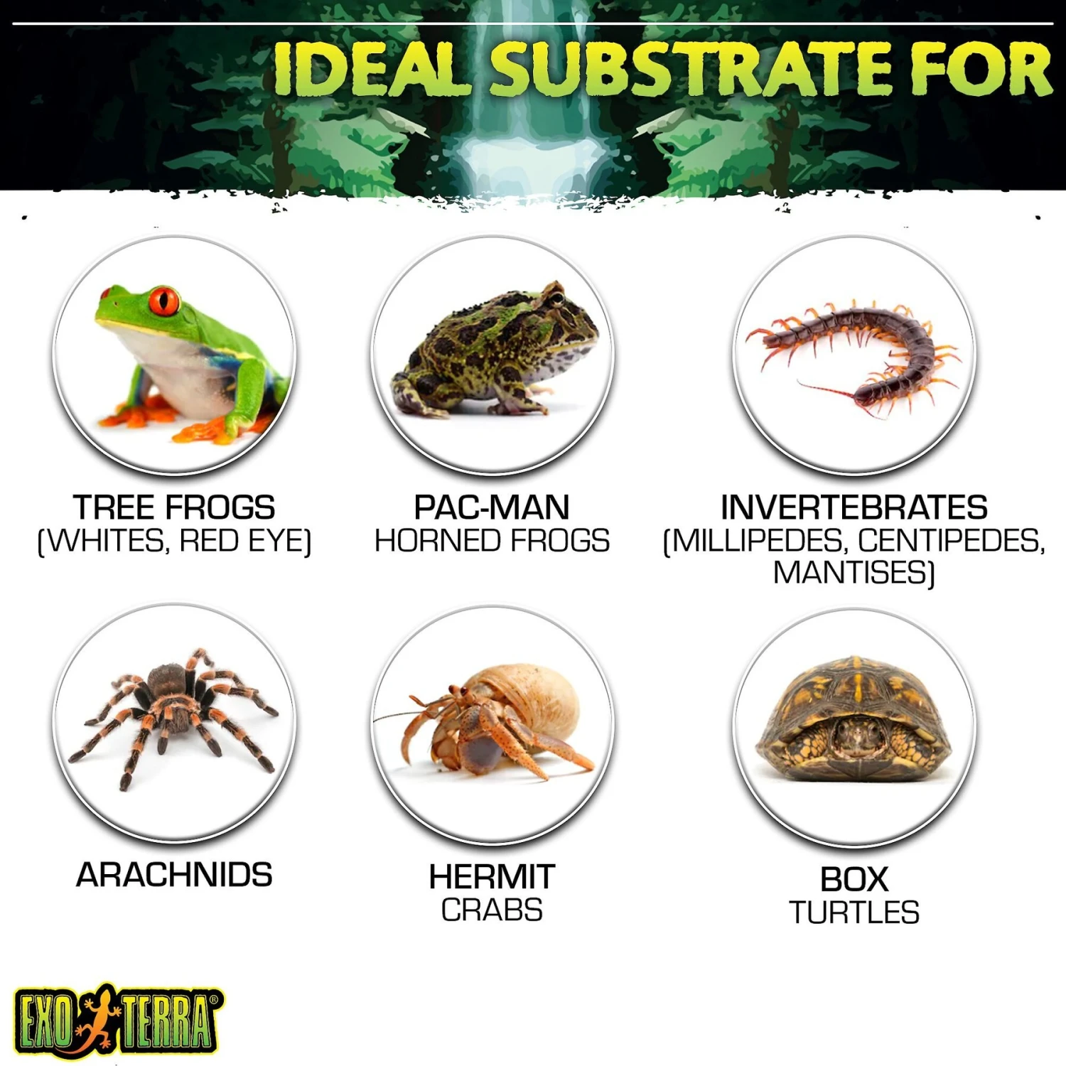 Exo Terra Plantation Soil Tropical Terrarium Reptile Substrate - Image 5