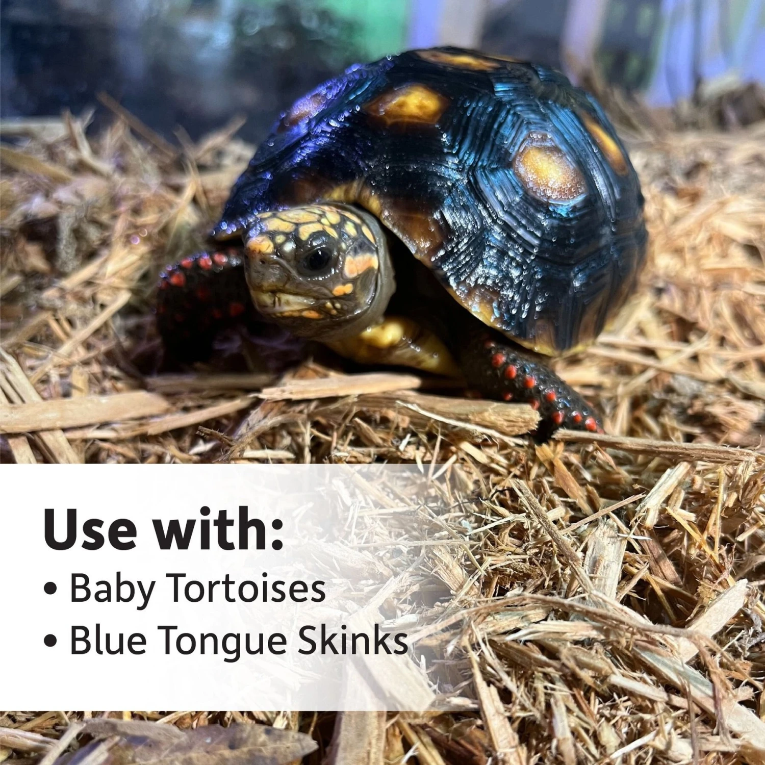 Josh's Frogs Super Cypress Reptile Substrate, 10-qt Bag - Image 9