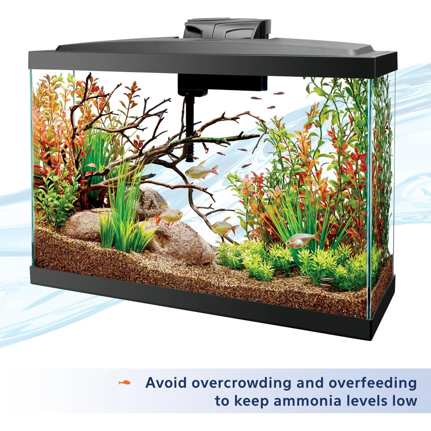 Aqueon Ammonia Neutralizer Water Conditioner - Image 5