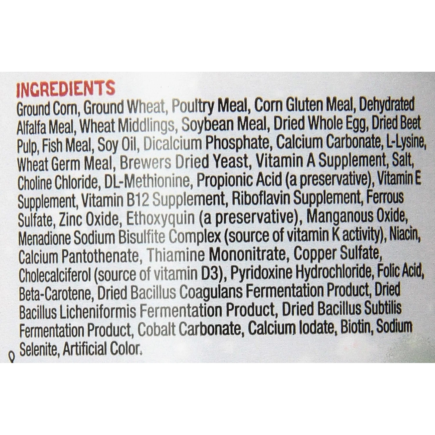 Zilla Bearded Dragon Food - Image 4