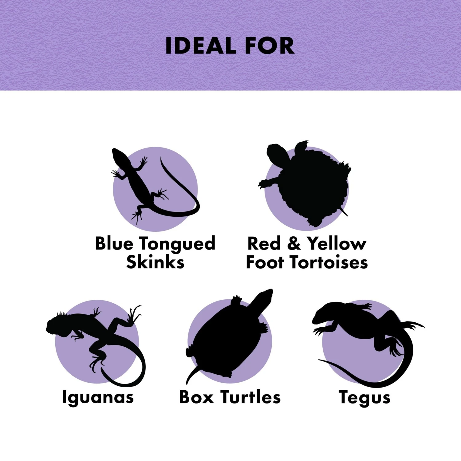 Zilla Reptile Munchies Fruit Mix Reptile Food - Image 4