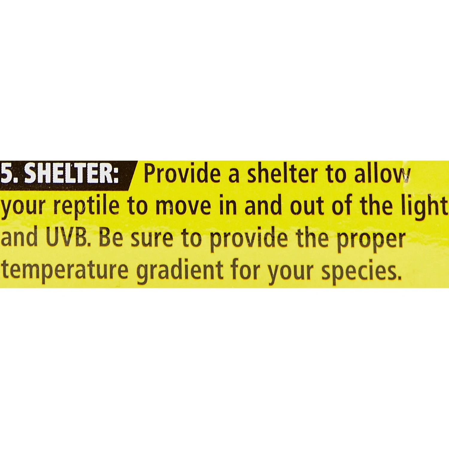 Zoo Med ReptiSun 10.0 T8-HO UVB Fluorescent Reptile Lamp - Image 6